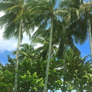 Meet your Posher, Sj